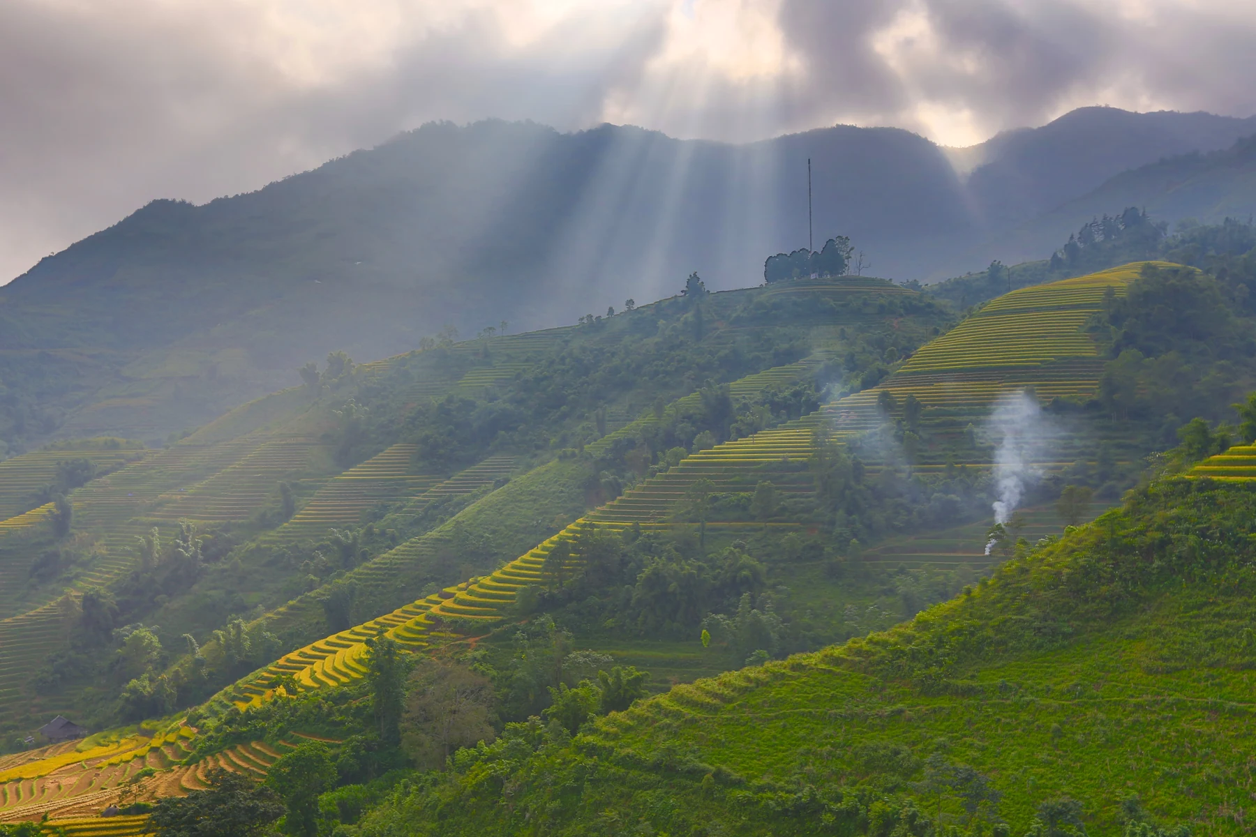 Trung Chai rice terraces, Sa Pa