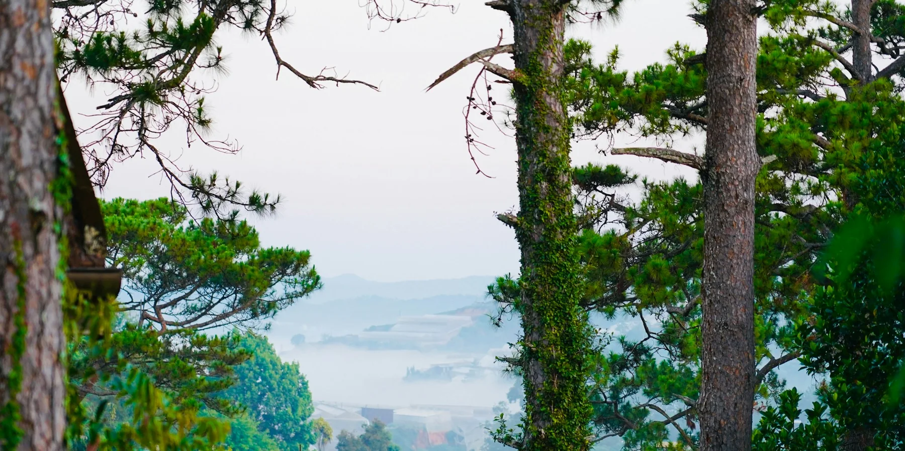 Le Petit Dalat - Ana Mandara, Da Lat, Vietnam